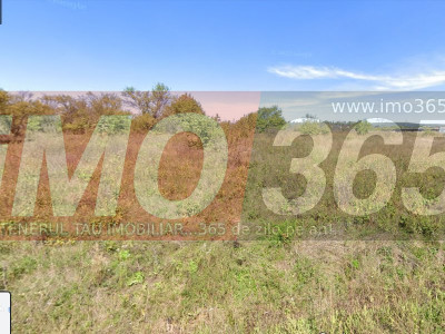 Teren Bascov Glimbocu Deal - intravilan 750 mp 