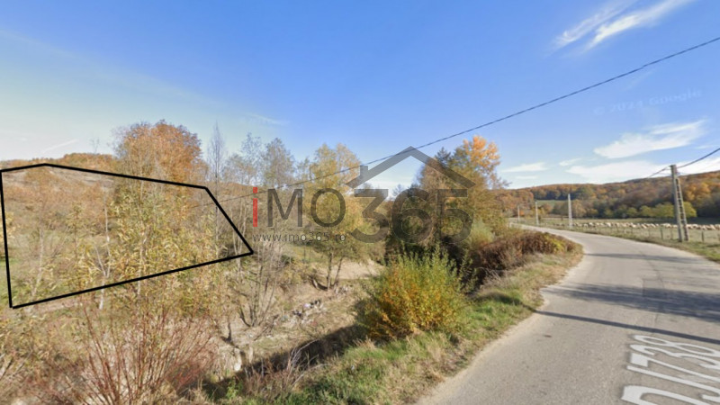 Teren 15 Hectare  in sat | Mihaesti | Arges