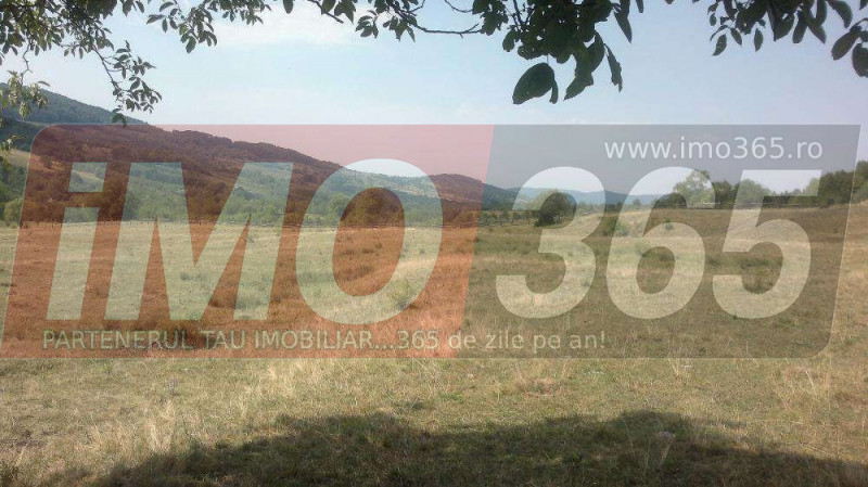 Teren 15 Hectare  in sat | Mihaesti | Arges