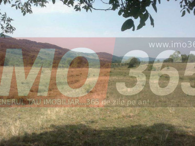 Teren 15 Hectare  in sat | Mihaesti | Arges