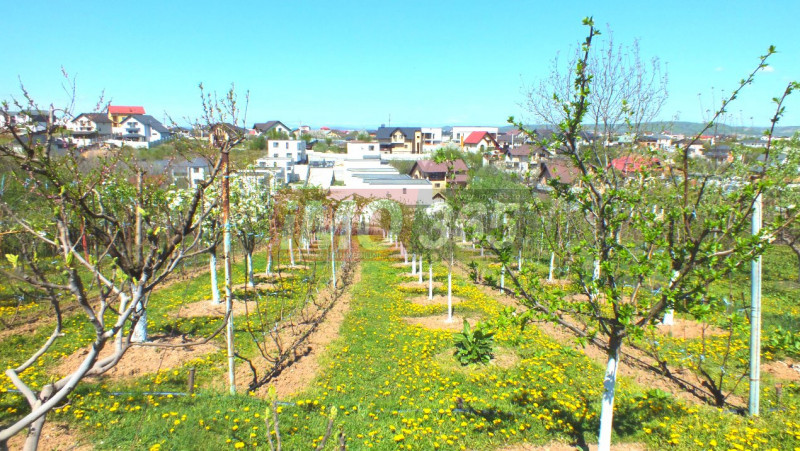 Proprietate cu 2 case si 1500mp teren in Geamana 1 Km de Prundu