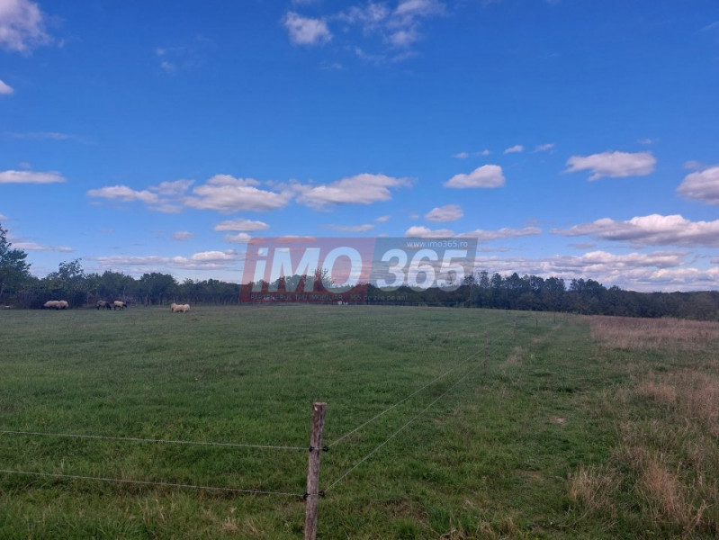 Teren Poiana Lacului (Cepari) - 4039 mp - deschidere 21m