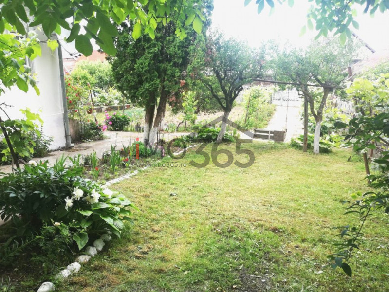 Teren Bascov 1754mp-izvor pe teren-intre case-la 700m de sens Bascov