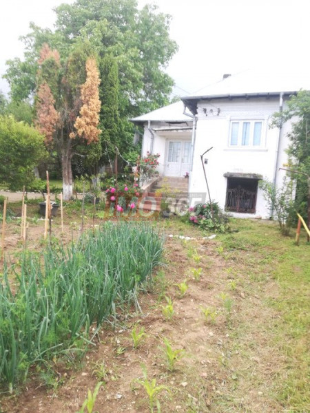 Teren Bascov 1754mp-izvor pe teren-intre case-la 700m de sens Bascov