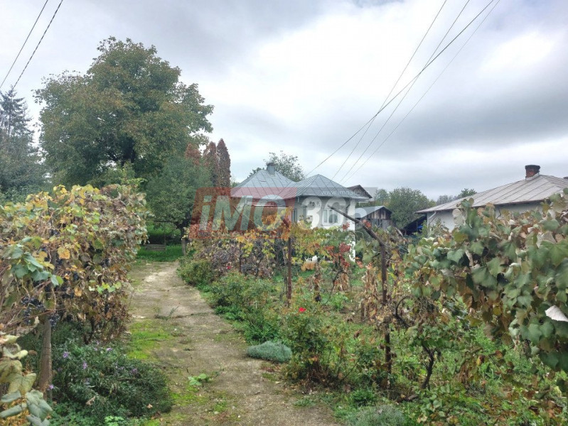 Teren Bascov 1754mp-izvor pe teren-intre case-la 700m de sens Bascov