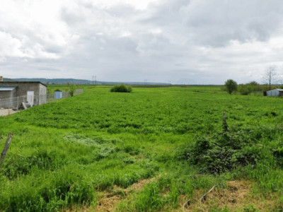 Teren intravilan la strada in Udeni Zavoi 1109mp 