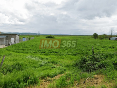 Teren intravilan la strada in Udeni Zavoi 1109mp 