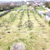 Teren Lupueni - Babana - intravilan 1025mp