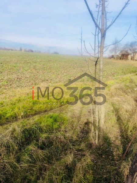 Casa demolabila si teren 3758mp intravilan Rociu Gliganu