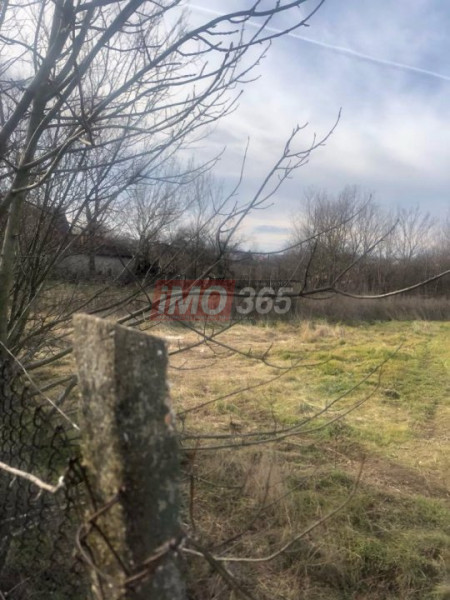 Casa demolabila si teren 3758mp intravilan Rociu Gliganu