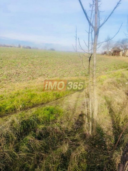Casa demolabila si teren 3758mp intravilan Rociu Gliganu
