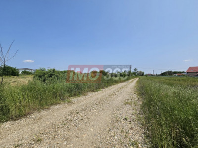 Teren Primarie Bradu 1683 mp deschidere 29.65m 