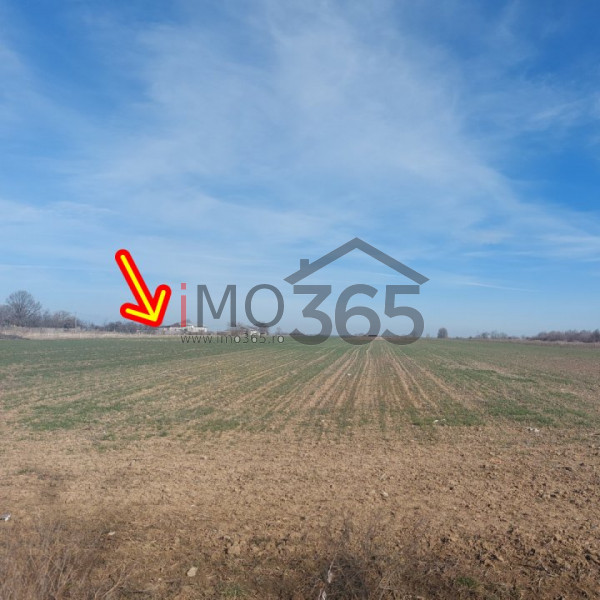 Teren intravilan Parvu Rosu 990 mp 