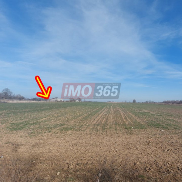 Teren intravilan Parvu Rosu 990 mp 