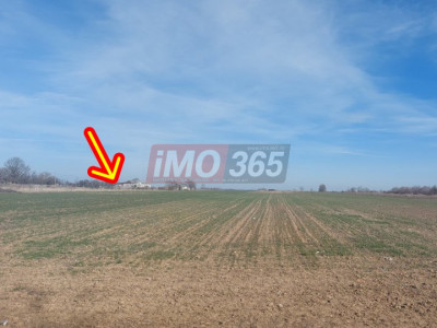 Teren intravilan Parvu Rosu 990 mp 