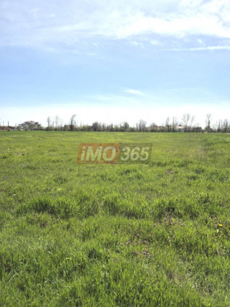 Teren intravilan 3000mp Oarja deschidere 37m