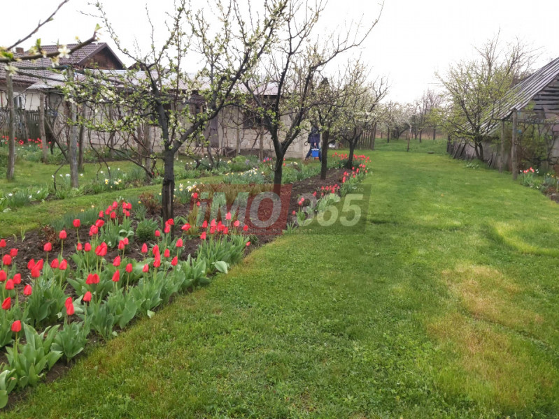 Teren intravilan Costesti, 4688mp deschidere 26mp