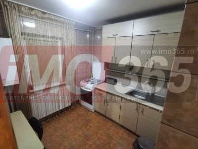 Ap.2 cam Decomandat (P) | Tudor Vladimirescu | Renovat | Centrala | Termopan